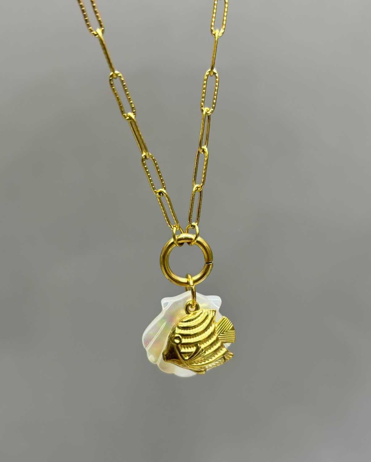 Mop shell chain